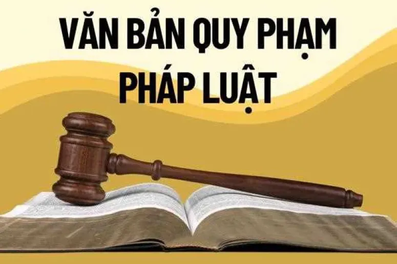 29 Luật có hiệu lực từ ngày 01/7/2026