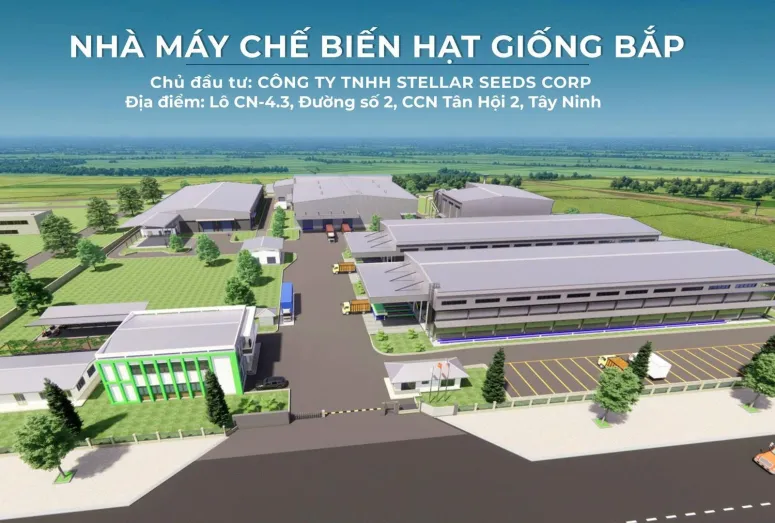 Công Ty TNHH Stellar Seeds Corp